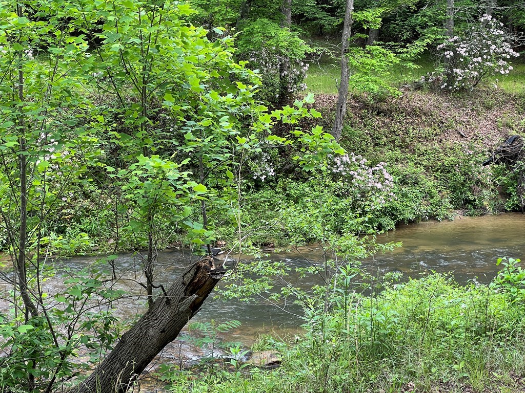 Lot 52 Madeline Way #52, BLAIRSVILLE, Georgia image 10