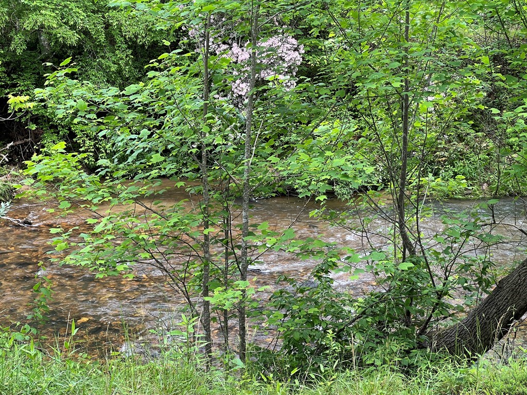 Lot 52 Madeline Way #52, BLAIRSVILLE, Georgia image 5