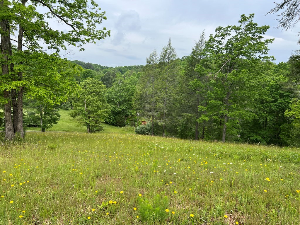 Lot 52 Madeline Way #52, BLAIRSVILLE, Georgia image 29