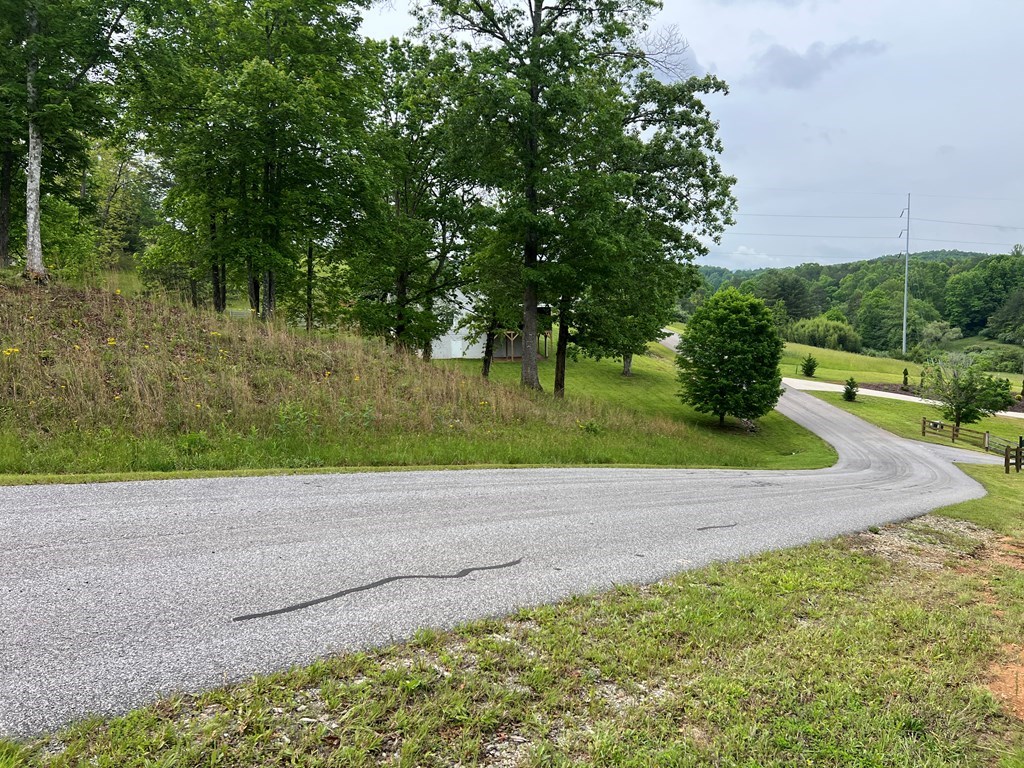 Lot 52 Madeline Way #52, BLAIRSVILLE, Georgia image 15