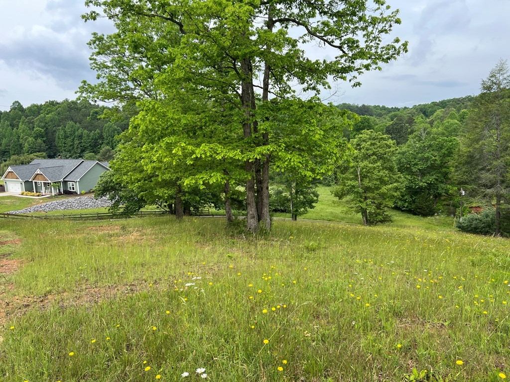 Lot 52 Madeline Way #52, BLAIRSVILLE, Georgia image 30