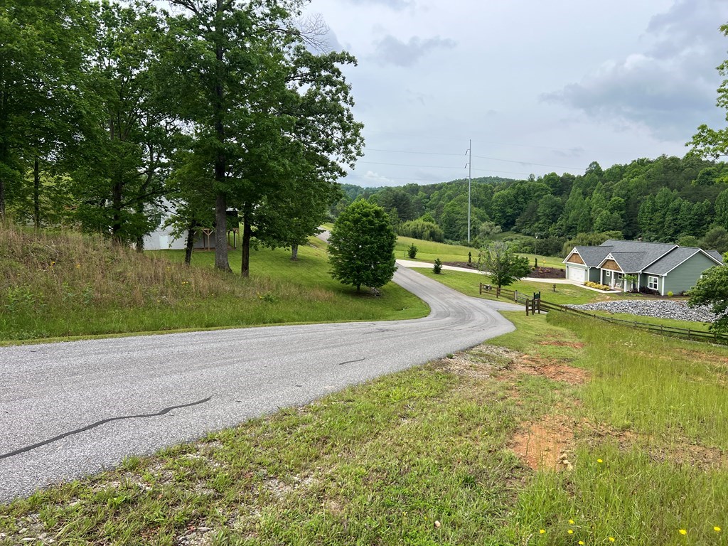 Lot 52 Madeline Way #52, BLAIRSVILLE, Georgia image 8