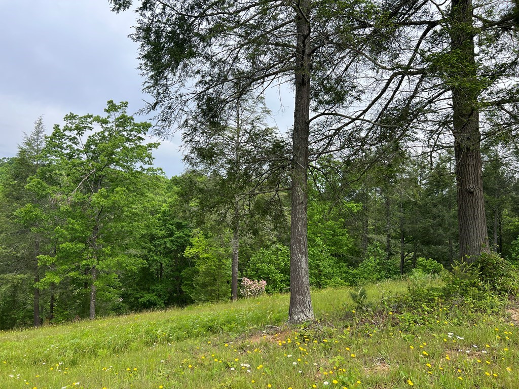 Lot 52 Madeline Way #52, BLAIRSVILLE, Georgia image 31