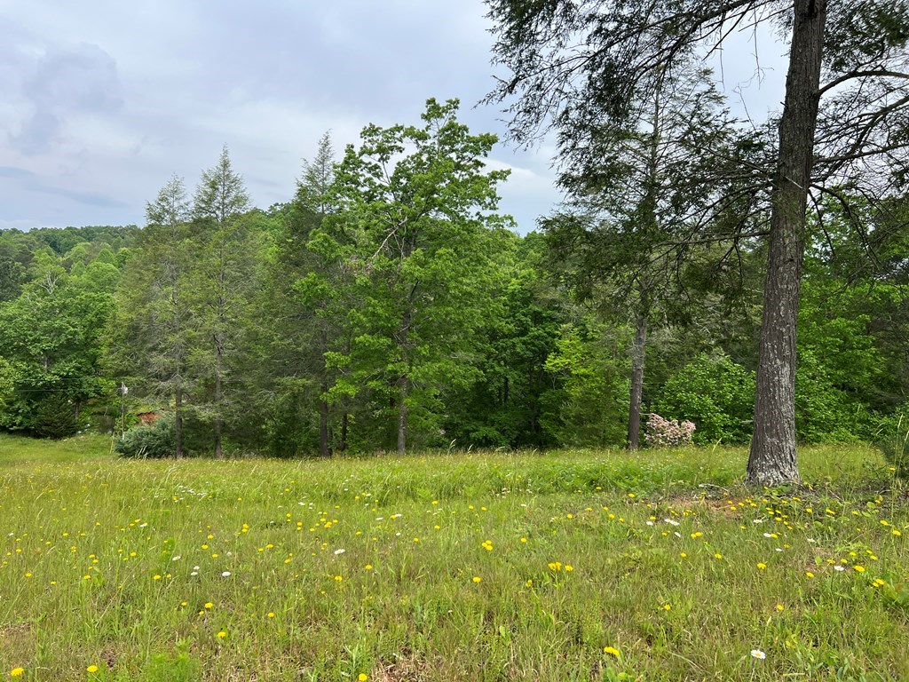Lot 52 Madeline Way #52, BLAIRSVILLE, Georgia image 24