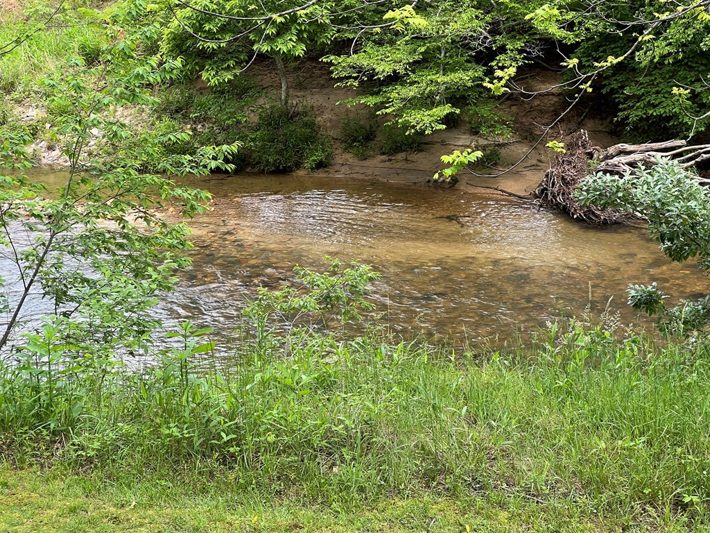 Lot 52 Madeline Way #52, BLAIRSVILLE, Georgia image 19