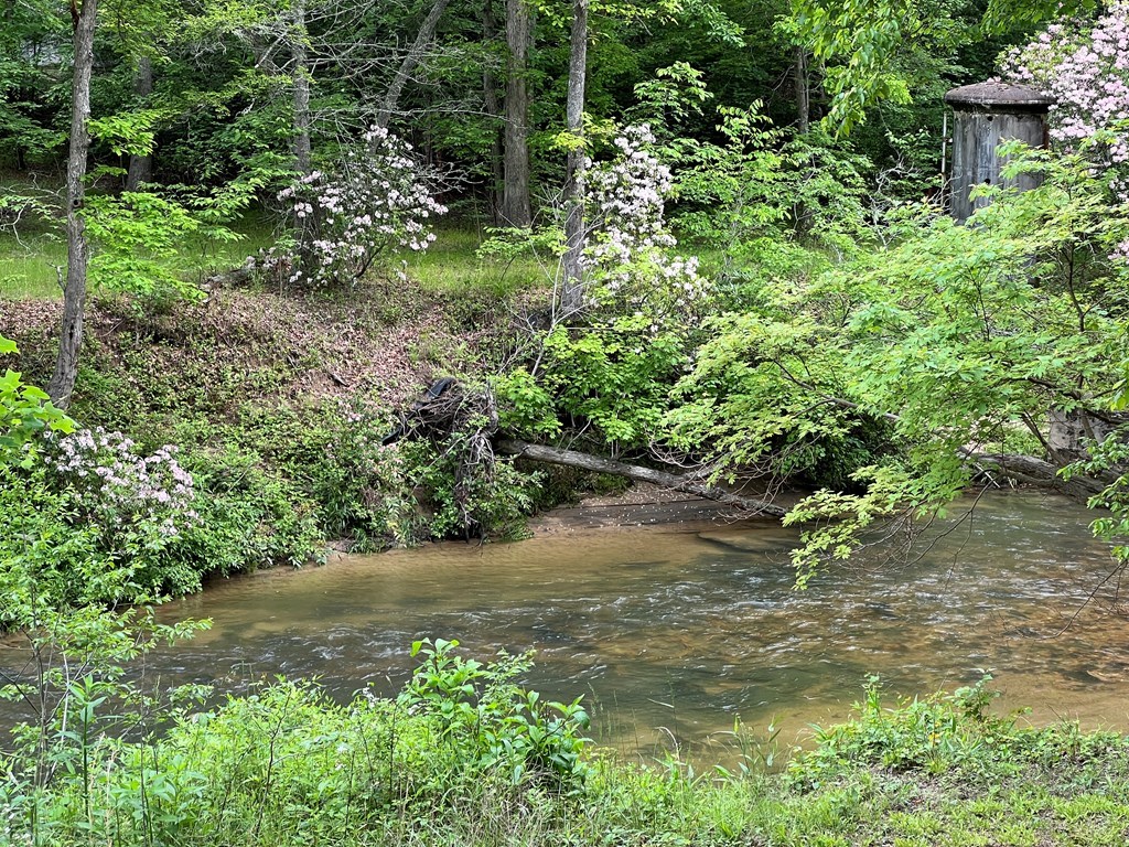 Lot 52 Madeline Way #52, BLAIRSVILLE, Georgia image 27
