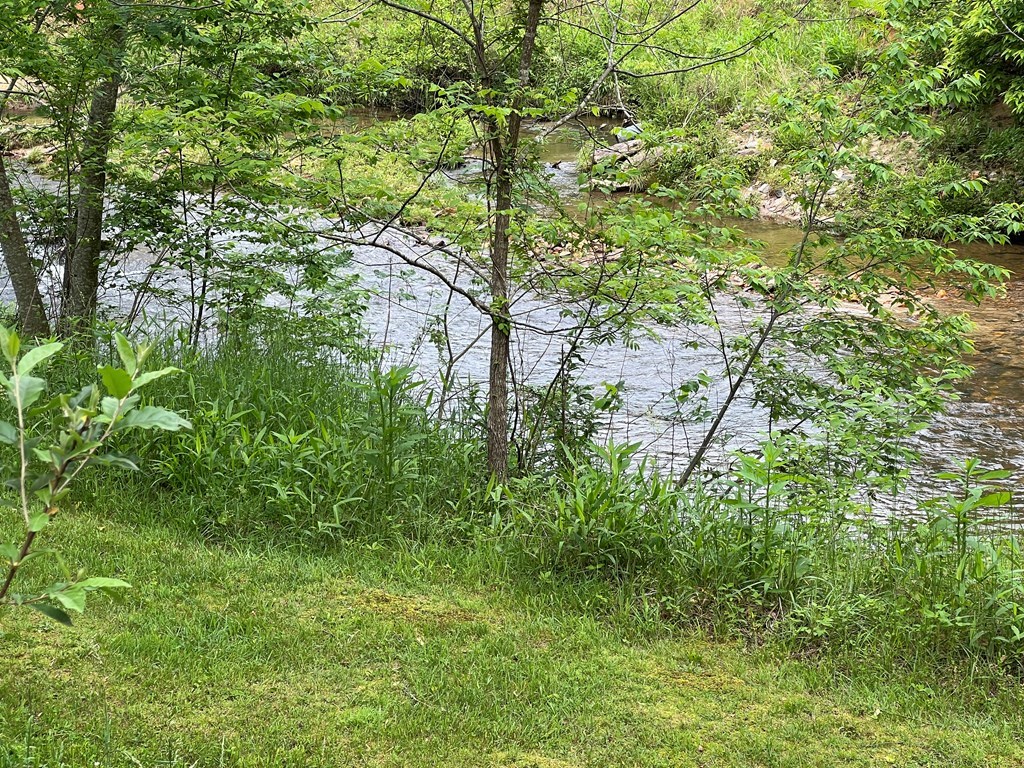 Lot 52 Madeline Way #52, BLAIRSVILLE, Georgia image 6