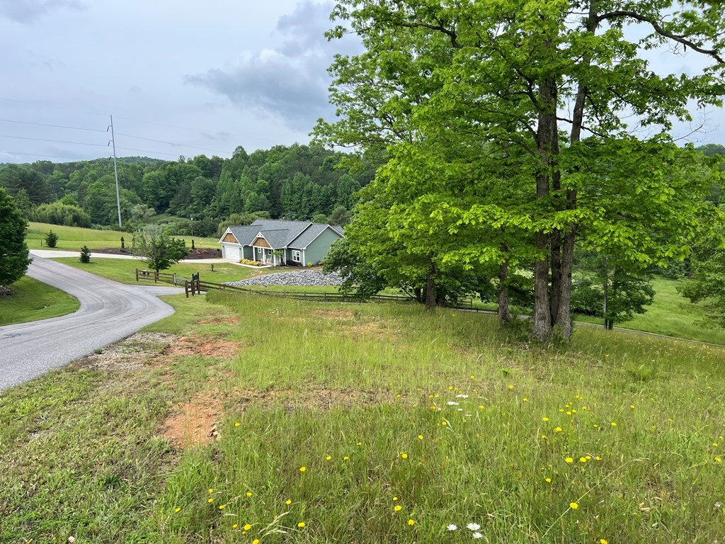 Lot 52 Madeline Way #52, BLAIRSVILLE, Georgia image 17