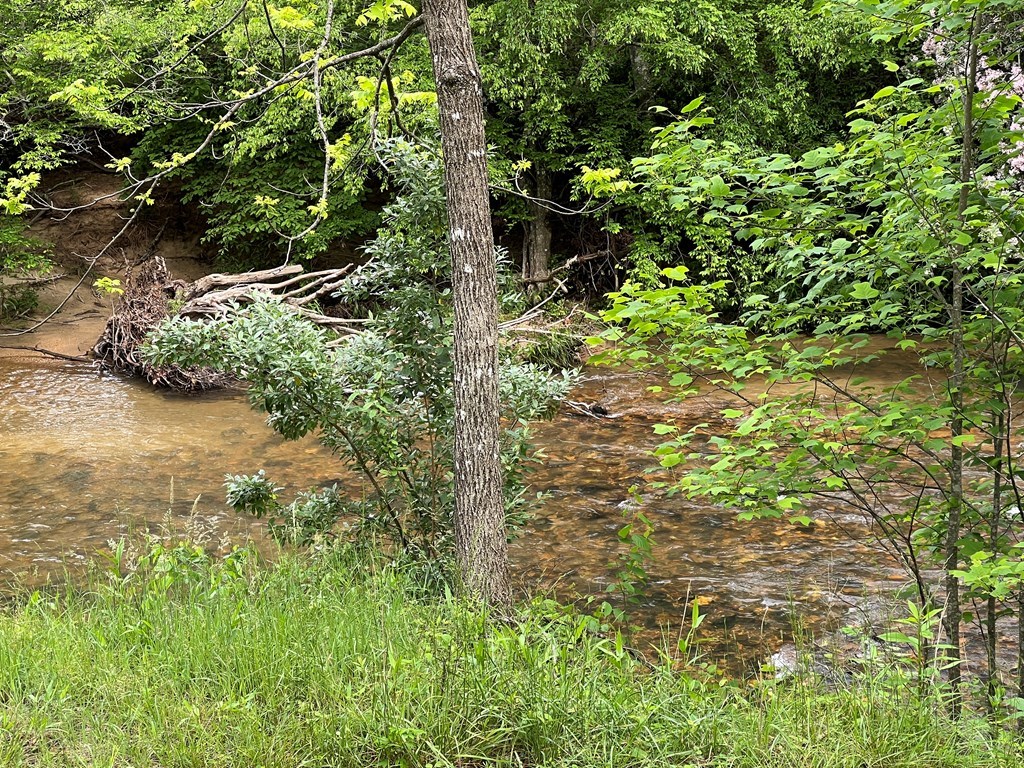 Lot 52 Madeline Way #52, BLAIRSVILLE, Georgia image 32