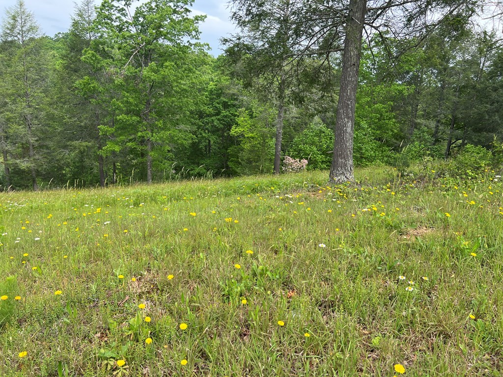 Lot 52 Madeline Way #52, BLAIRSVILLE, Georgia image 33
