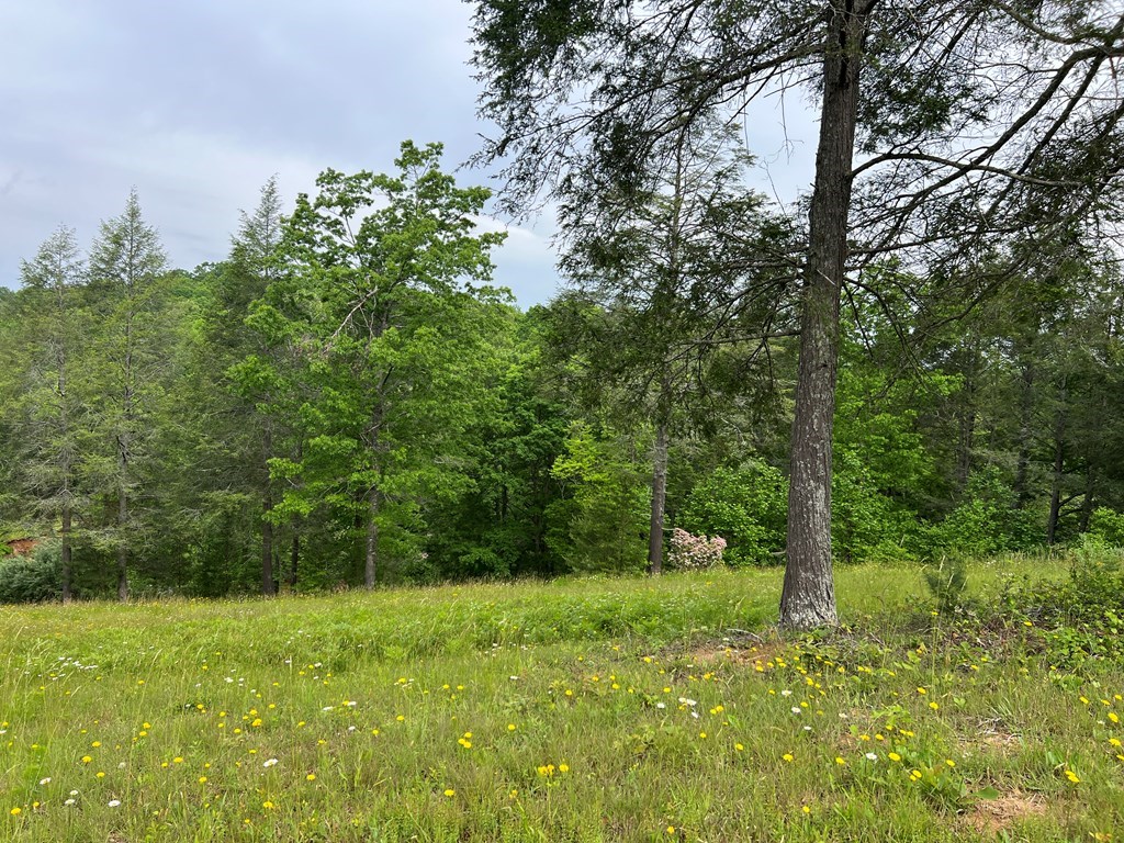 Lot 52 Madeline Way #52, BLAIRSVILLE, Georgia image 13