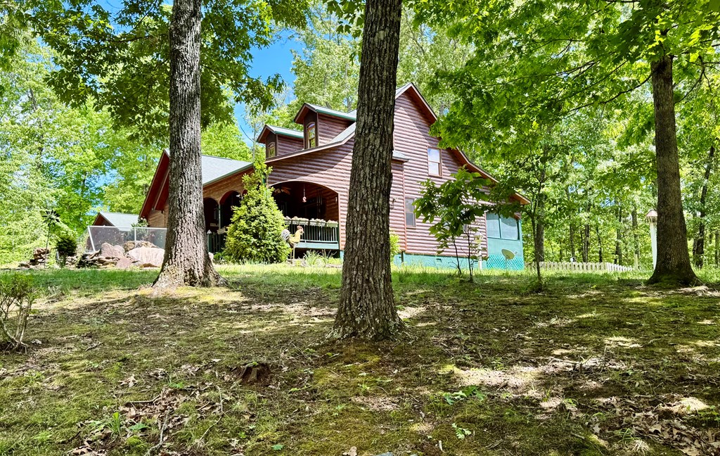 189 189 Weber Way Circle, BRASSTOWN, North Carolina image 3