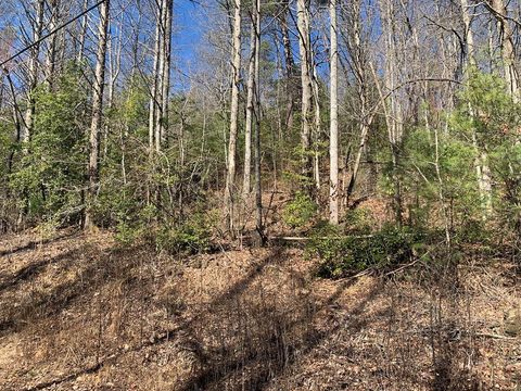 Vacant Land For Sale - 3.66 Horton Road<br/> MURPHY, NC 28906