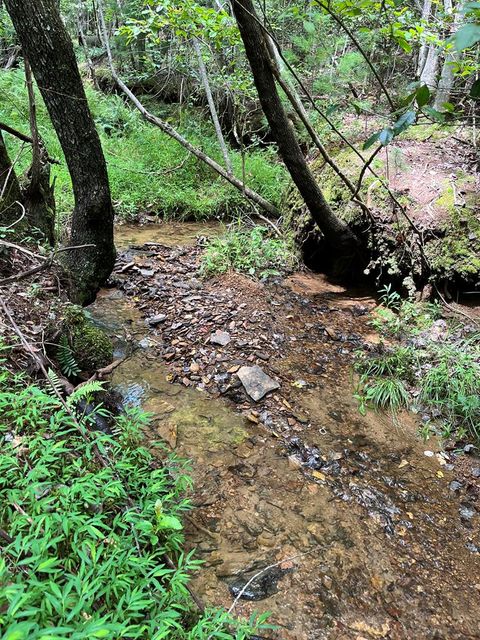 Vacant Land For Sale - TBD Sheep Knob<br/> BRASSTOWN, NC 28906