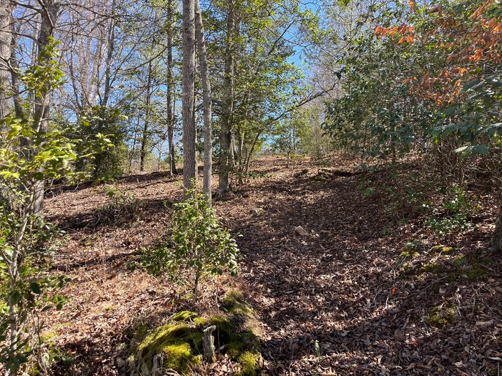 Lot 2 Holly Point Dr #2, MURPHY, North Carolina image 26