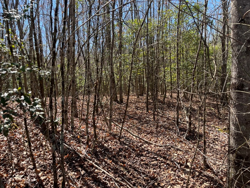 Lot 2 Holly Point Dr #2, MURPHY, North Carolina image 10