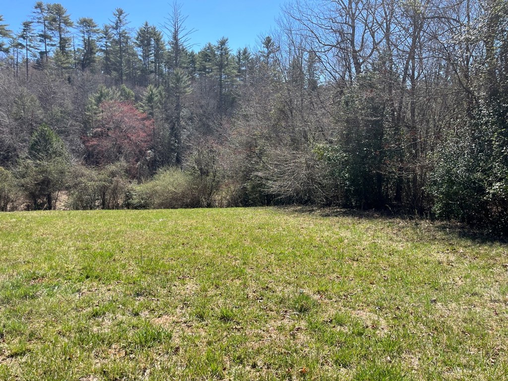 Lot 2 Holly Point Dr #2, MURPHY, North Carolina image 14