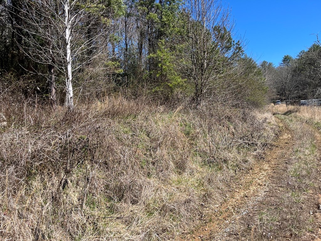 Lot 2 Holly Point Dr #2, MURPHY, North Carolina image 19