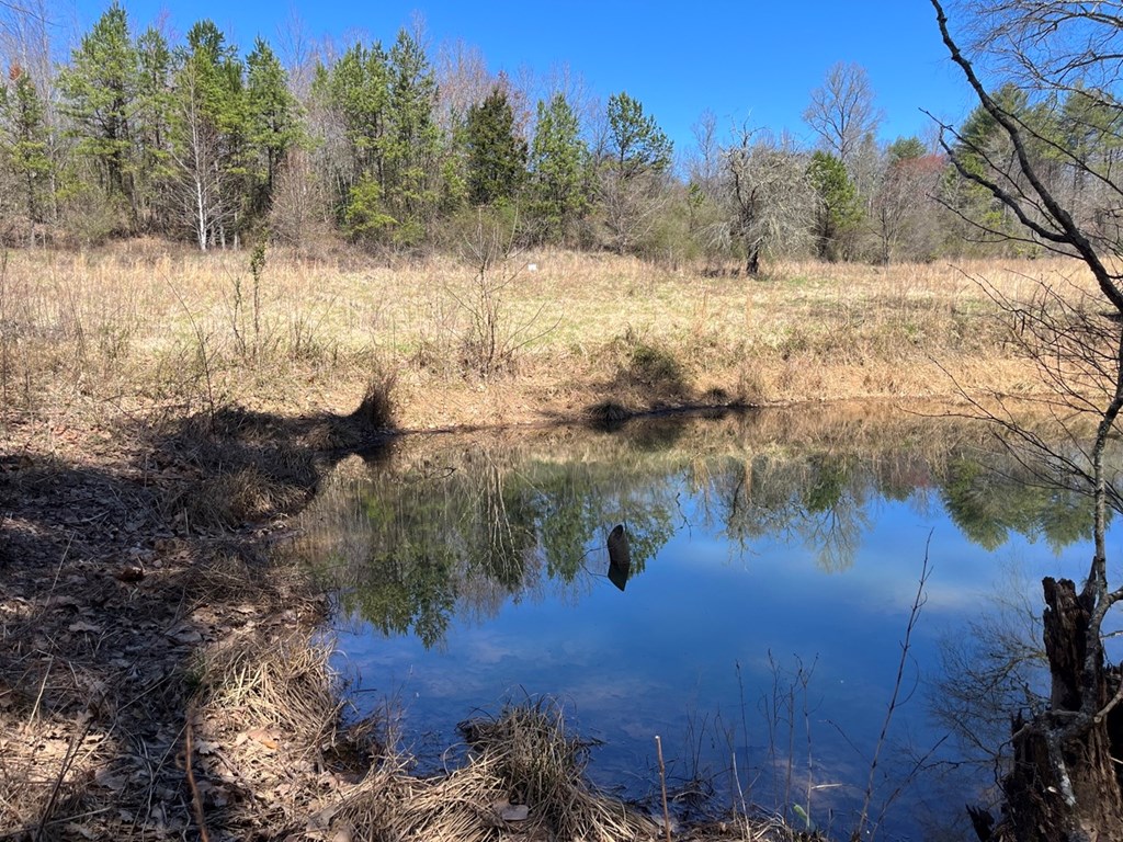 Lot 2 Holly Point Dr #2, MURPHY, North Carolina image 25