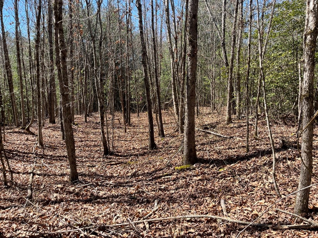 Lot 2 Holly Point Dr #2, MURPHY, North Carolina image 16