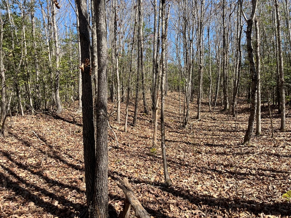 Lot 2 Holly Point Dr #2, MURPHY, North Carolina image 17
