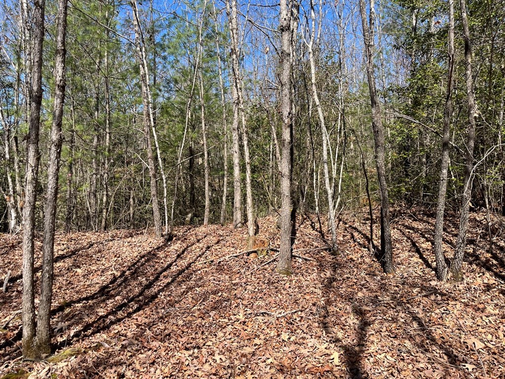 Lot 2 Holly Point Dr #2, MURPHY, North Carolina image 18