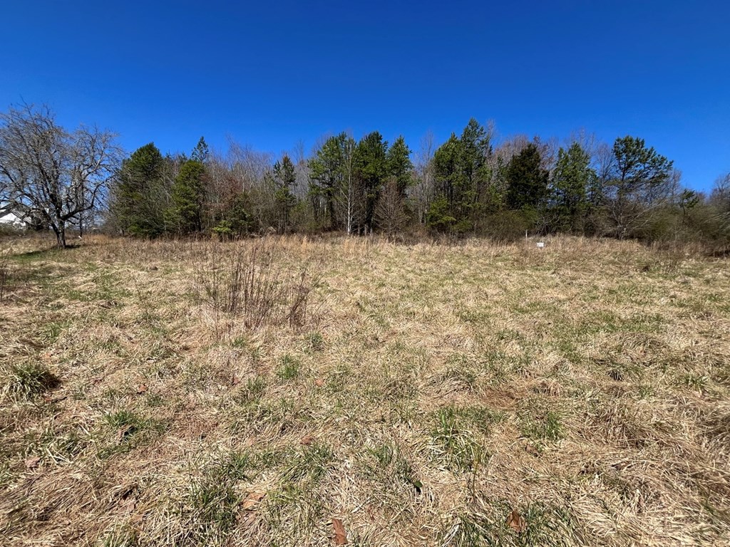Lot 2 Holly Point Dr #2, MURPHY, North Carolina image 23