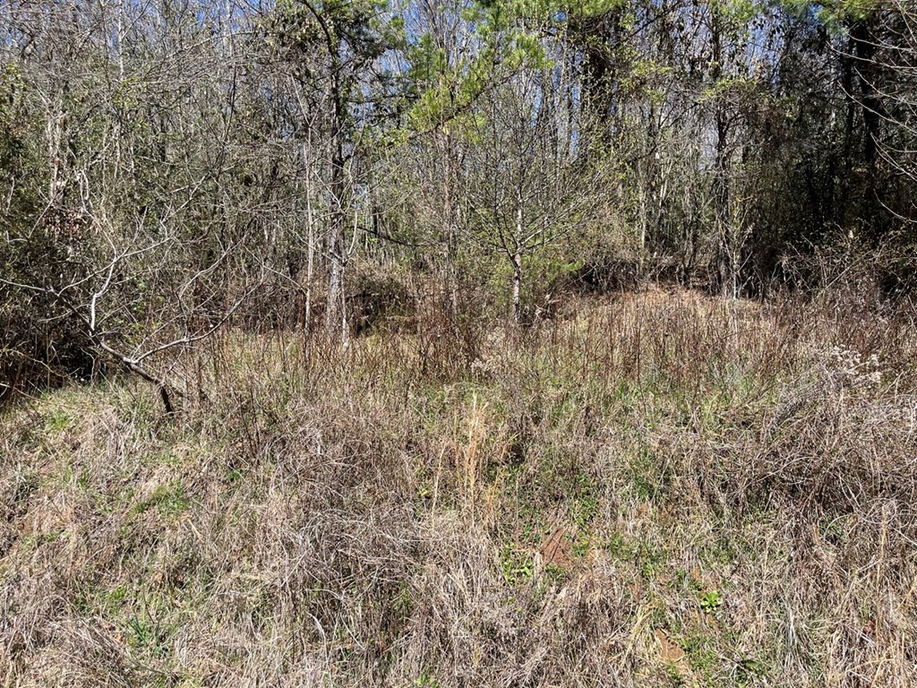 Lot 2 Holly Point Dr #2, MURPHY, North Carolina image 20