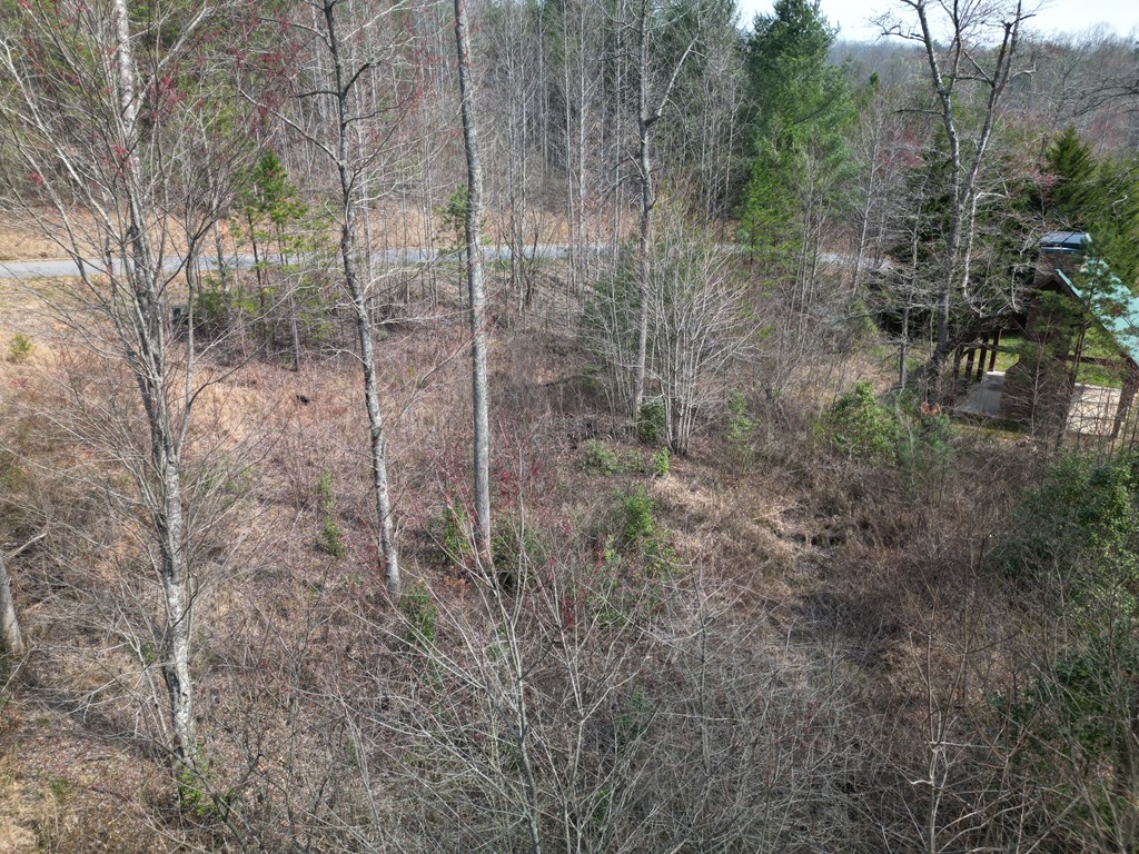 TBD Highland Ridge Trail #5, MURPHY, North Carolina image 5