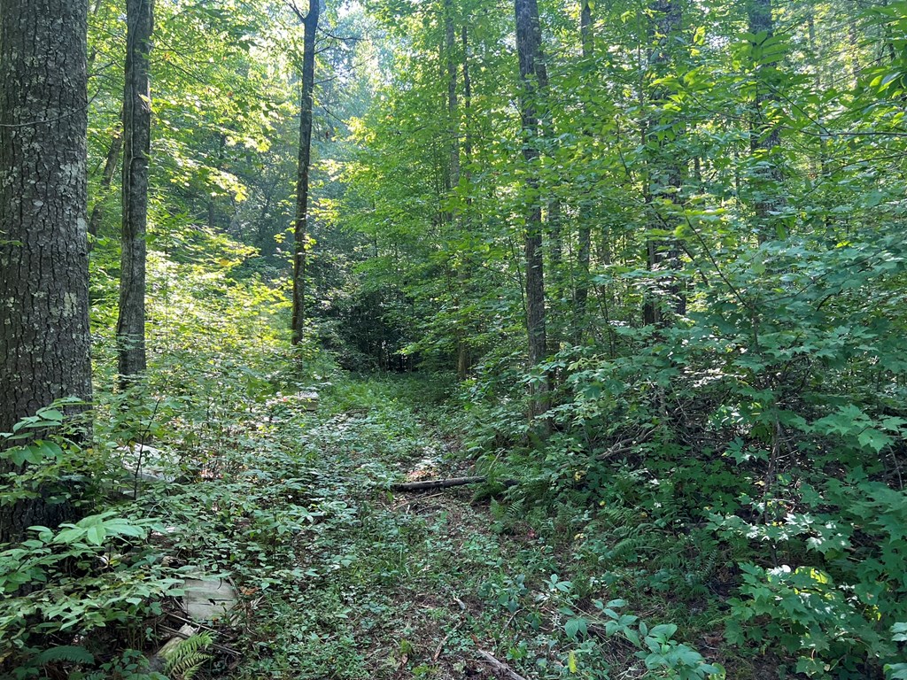 R J Mountain View Drive, MURPHY, North Carolina image 4