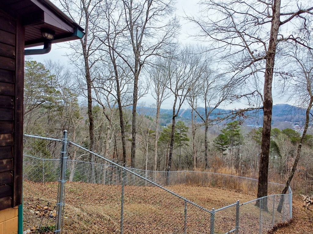 250 Lovers Leap Dr, MURPHY, North Carolina image 26