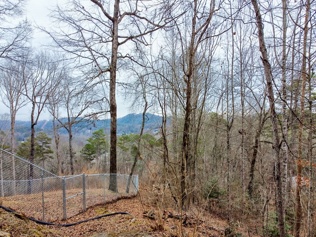 250 Lovers Leap Dr, MURPHY, North Carolina image 25