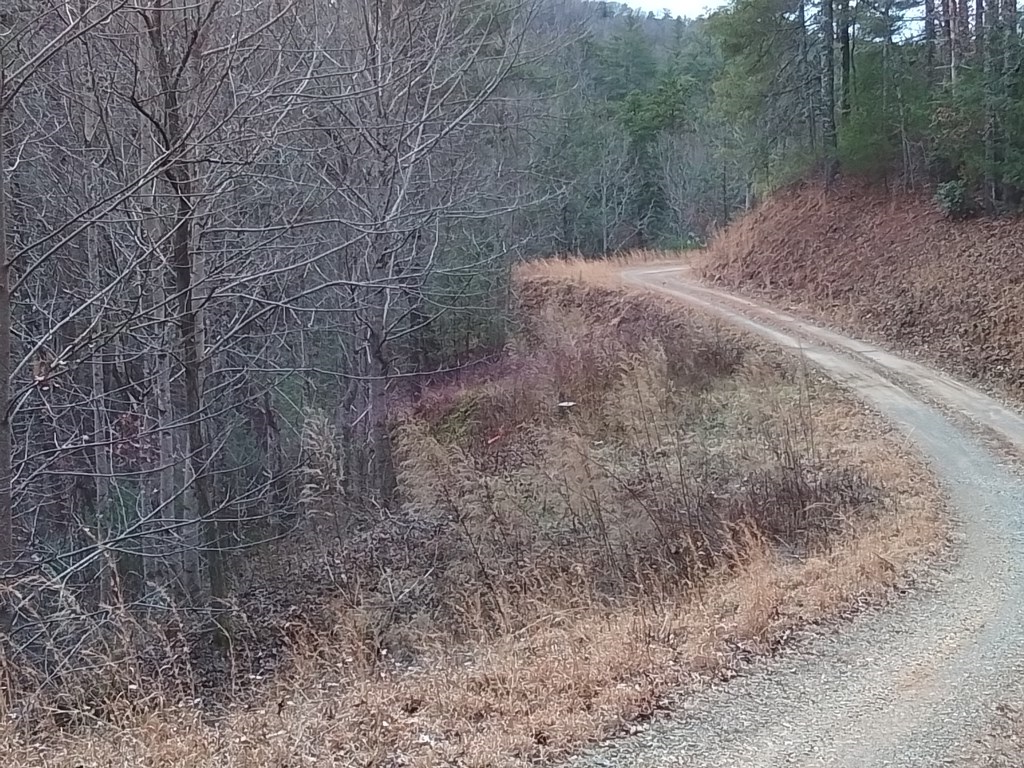 39 Idle Hour Lane #39, MURPHY, North Carolina image 3