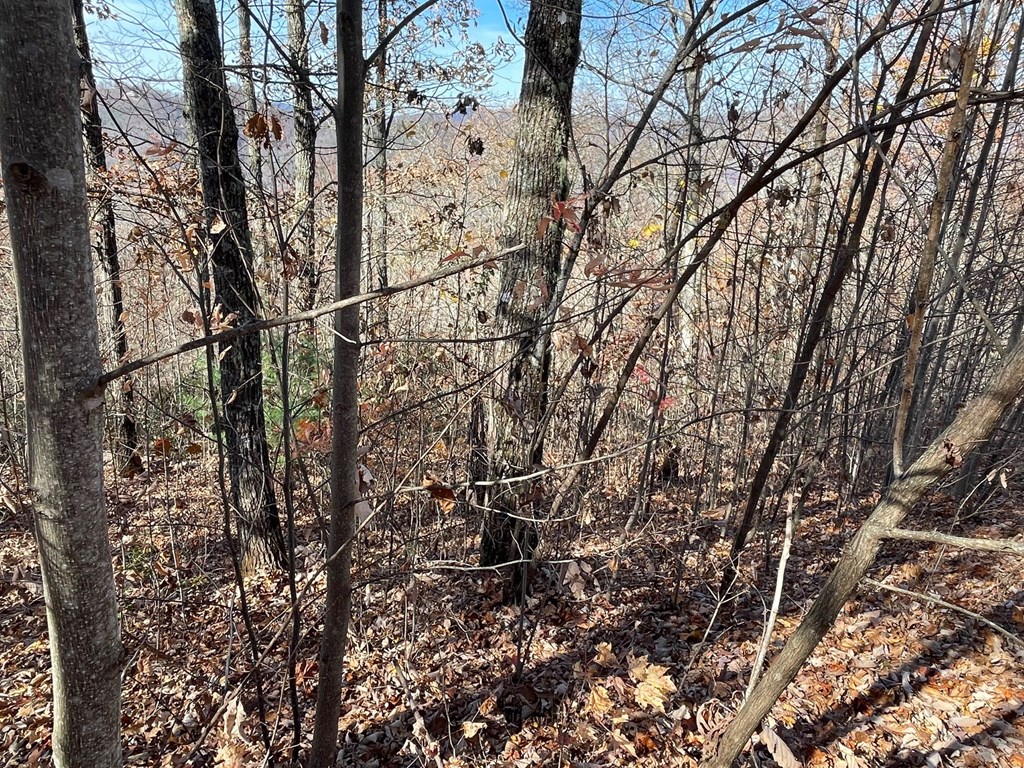 25J Ash Branch View #25J, HAYESVILLE, North Carolina image 3