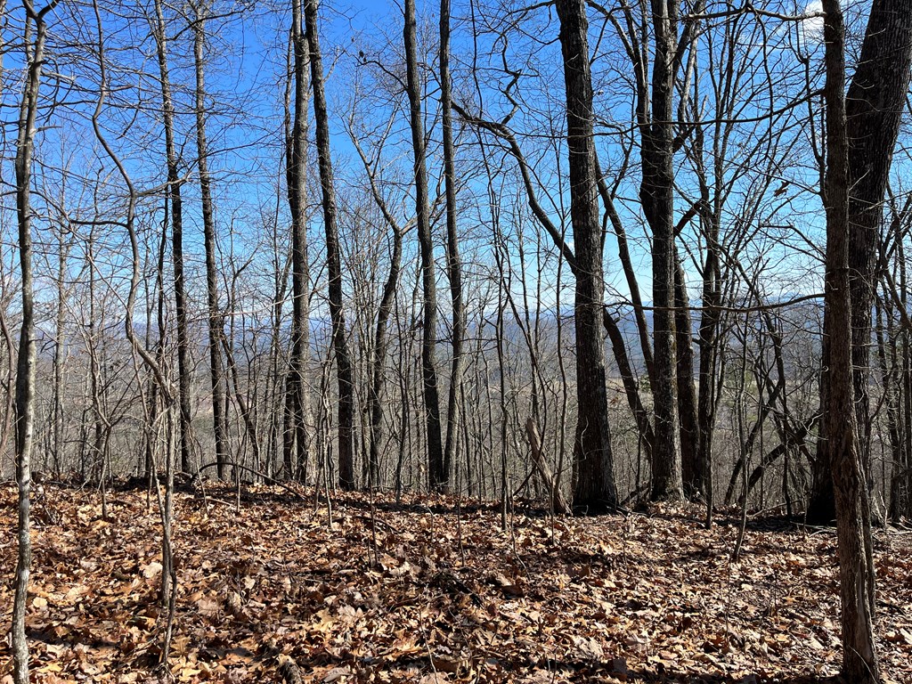 TBD Treehouse Trail, MURPHY, North Carolina image 8