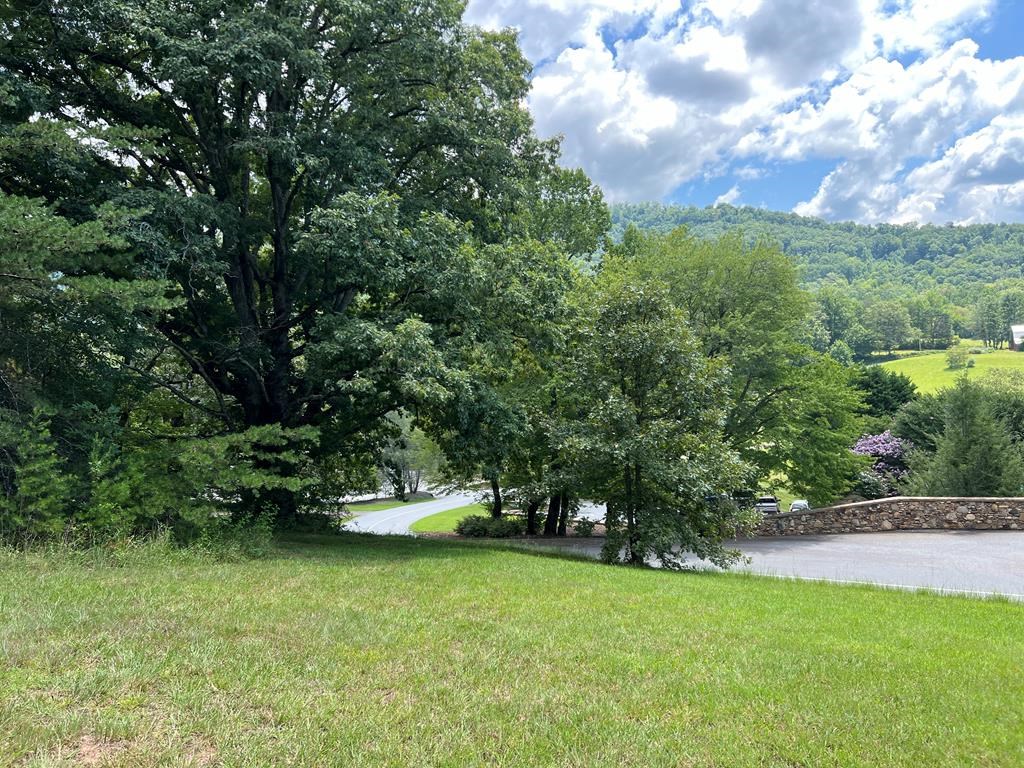 Tr 2 Meadow Ridge #126A, HAYESVILLE, North Carolina image 6