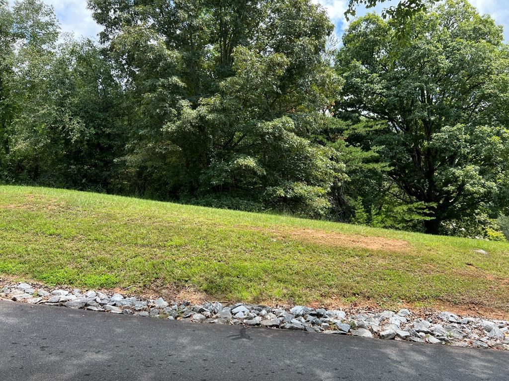 Tr 2 Meadow Ridge #126A, HAYESVILLE, North Carolina image 5