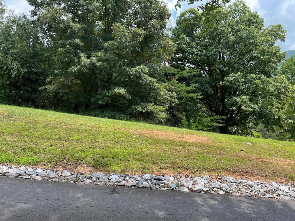 Tr 2 Meadow Ridge #126A, HAYESVILLE, North Carolina image 8