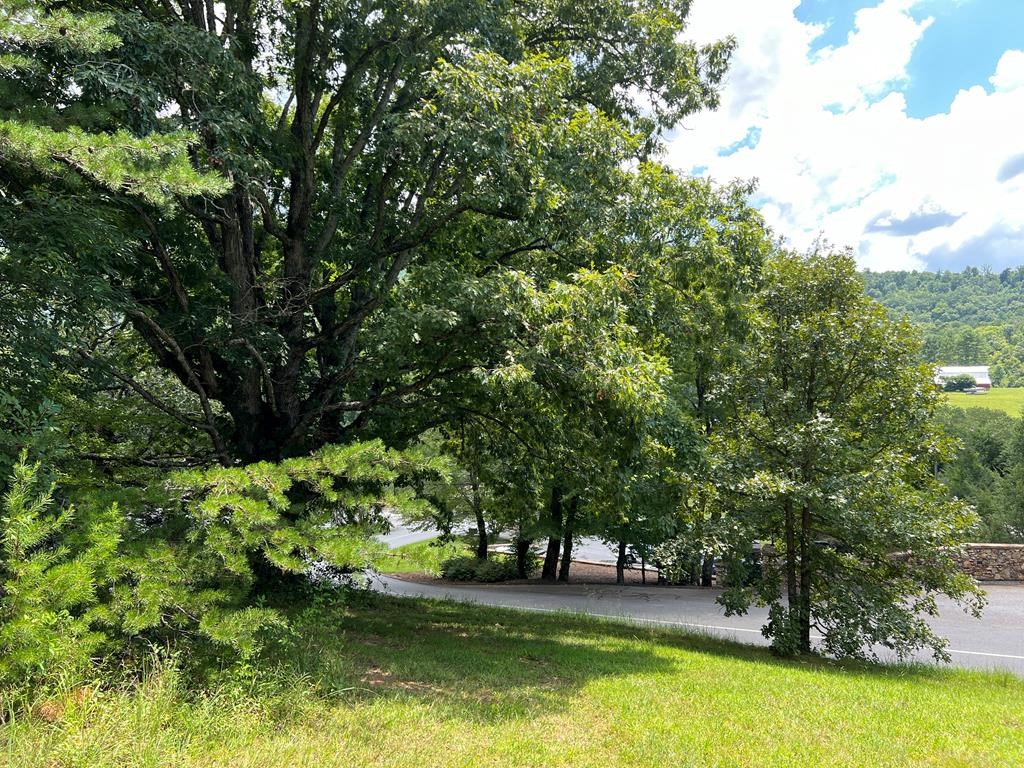 Tr 2 Meadow Ridge #126A, HAYESVILLE, North Carolina image 48