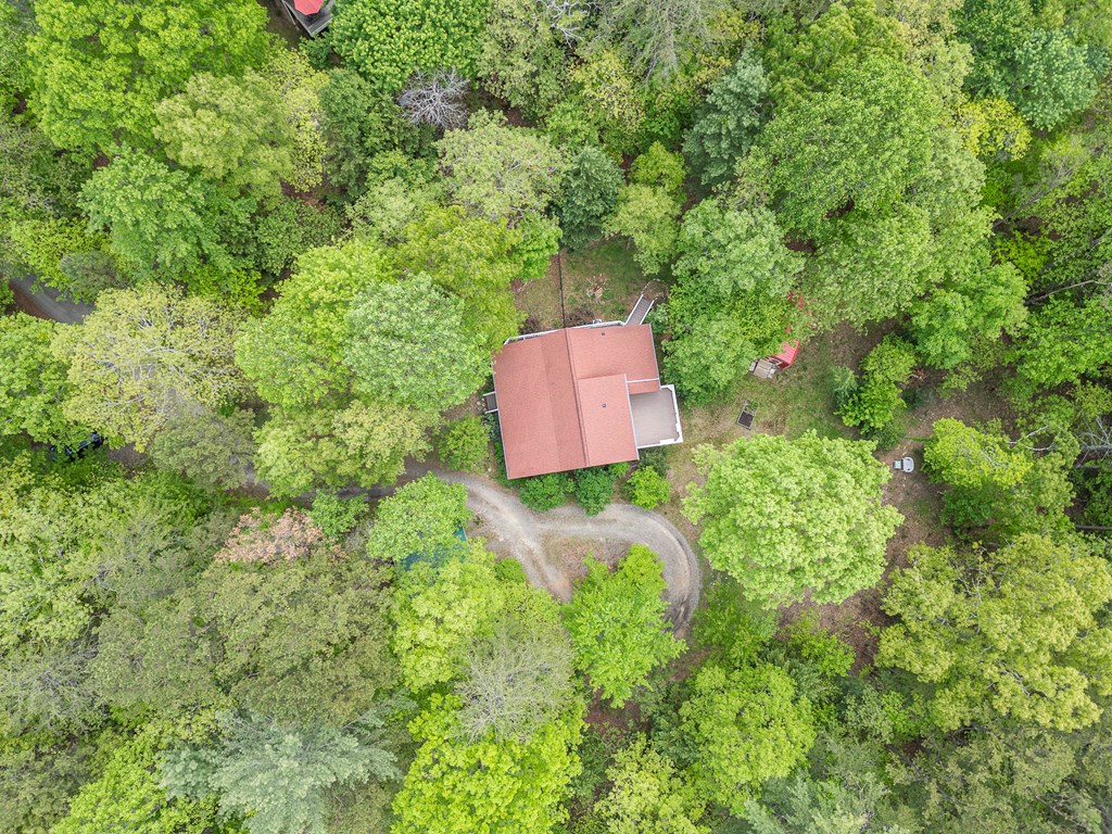 45 8 Point Trail, BLAIRSVILLE, New York image 46