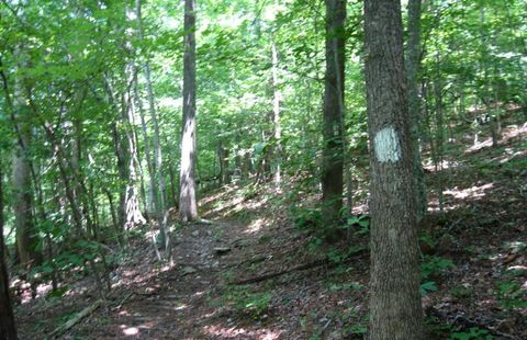 Vacant Land For Sale - 3.25 AC Wilscott Mountain Drive<br/> MURPHY, NC 28906