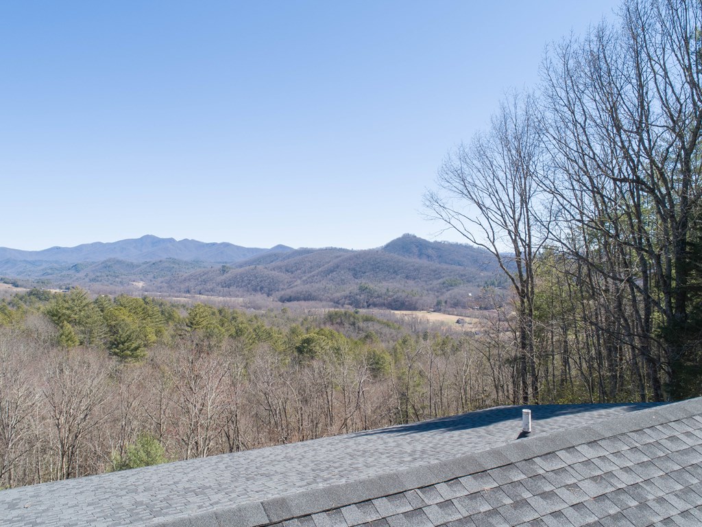608 Caesars Cove Dr, HAYESVILLE, North Carolina image 5