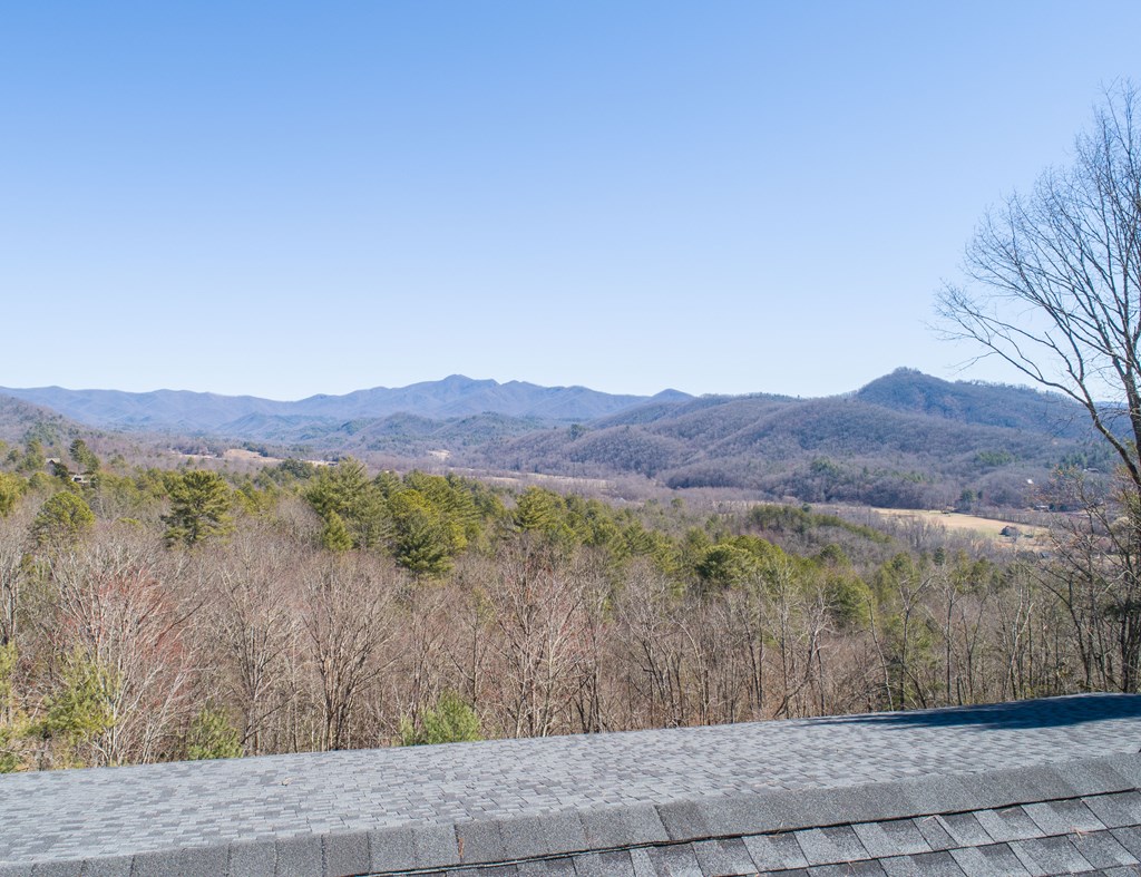 608 Caesars Cove Dr, HAYESVILLE, North Carolina image 6