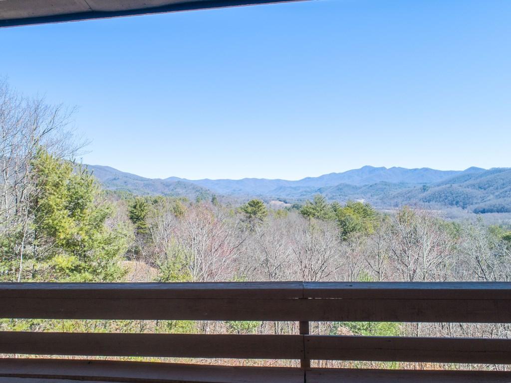 608 Caesars Cove Dr, HAYESVILLE, North Carolina image 4