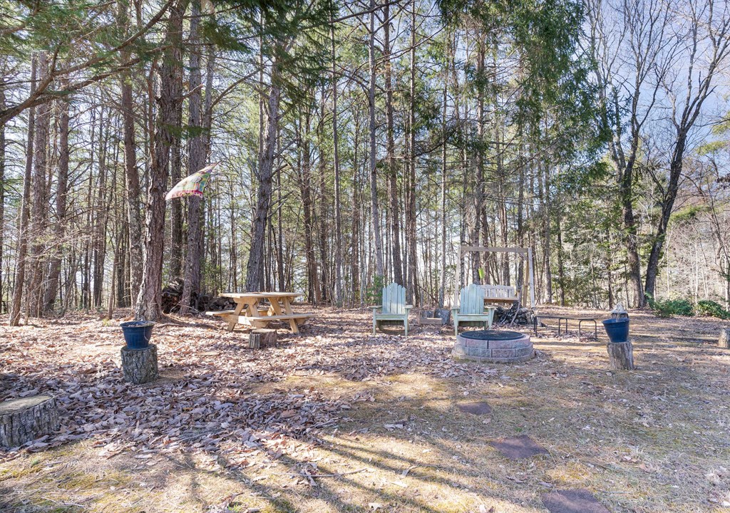 608 Caesars Cove Dr, HAYESVILLE, North Carolina image 49
