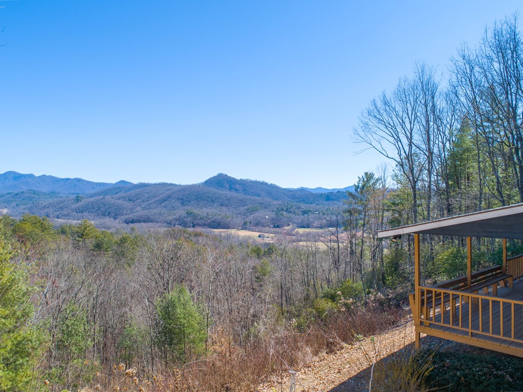 608 Caesars Cove Dr, HAYESVILLE, North Carolina image 11