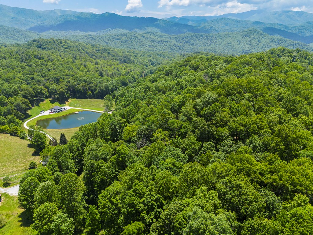 1651 Winding Stairs Rd, TOPTON, North Carolina image 4