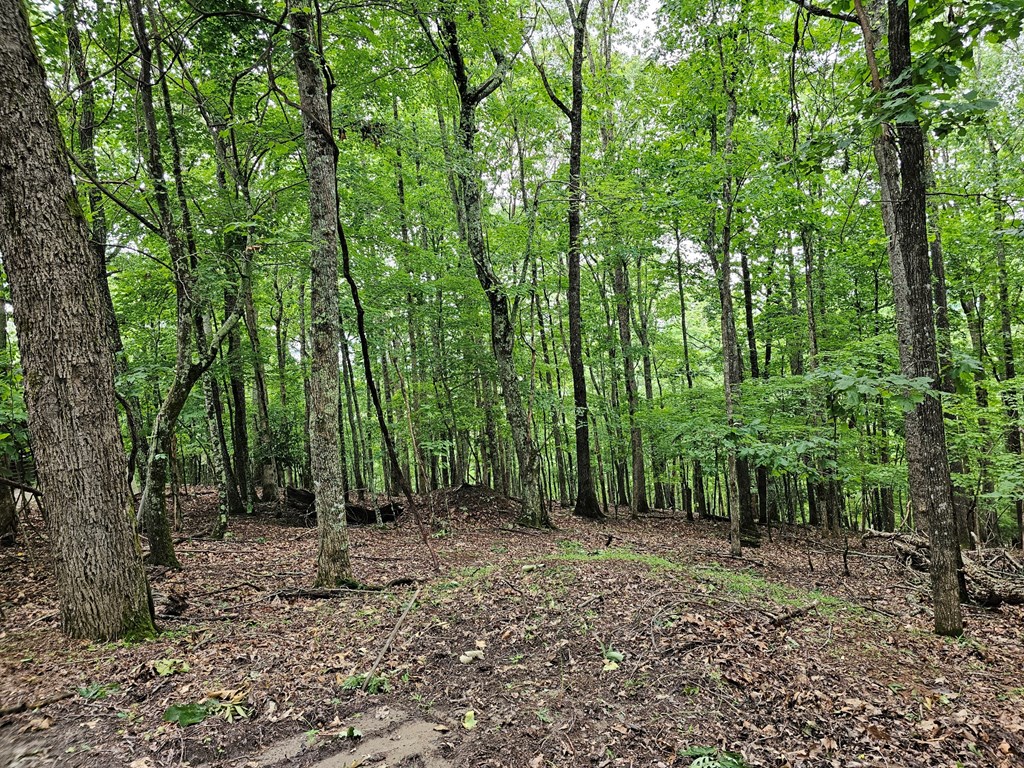 Lot 13-B Mountain Top Drive #13-B, MURPHY, Texas image 6
