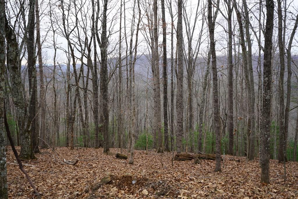 Lot 13-B Mountain Top Drive #13-B, MURPHY, Texas image 9