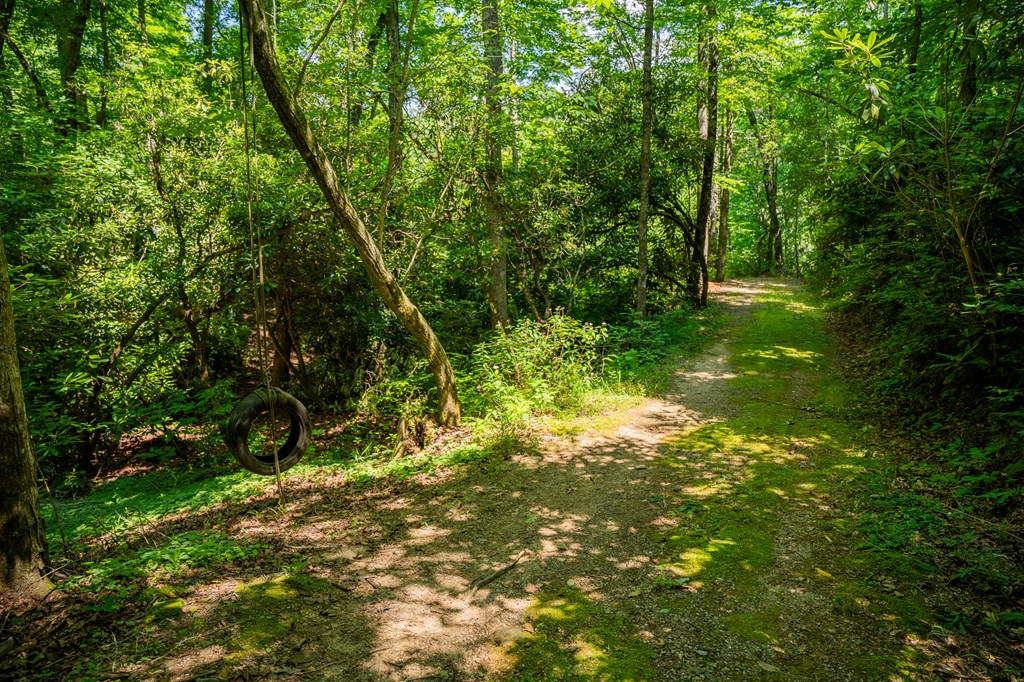 00 Brown Lane, MARBLE, North Carolina image 19